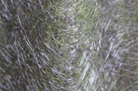 Stonehill fibreglass roof work